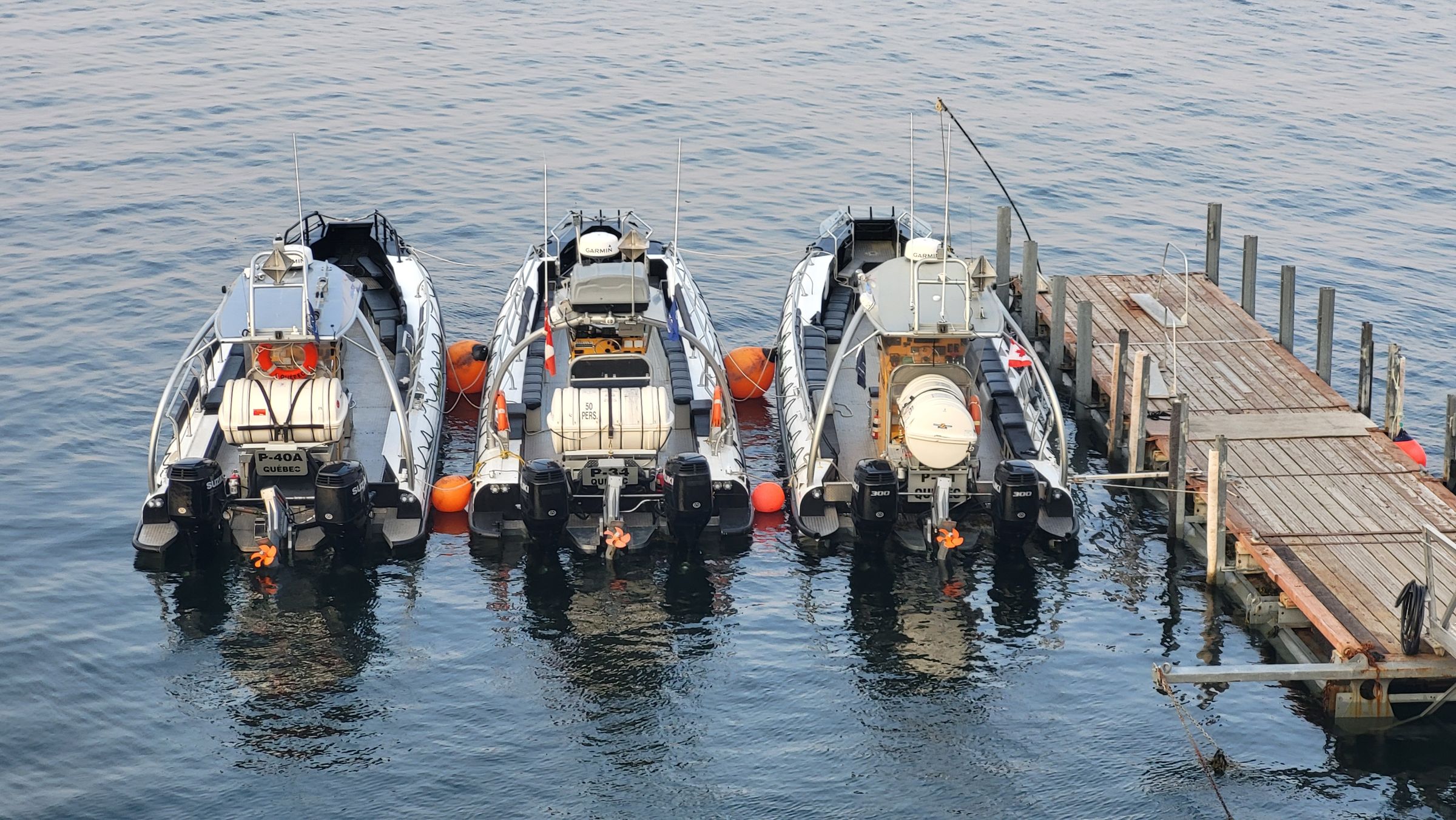 Trois de nos zodiacs hybrides amarrés au quai des Escoumins, sur une eau calme