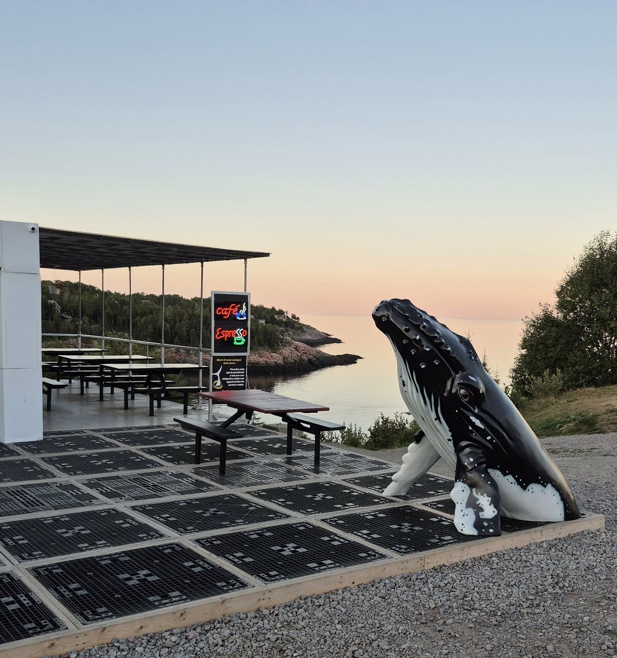 La terrasse vitrée du bistro au crépuscule, une sculpture de rorqual à bosse face au fleuve